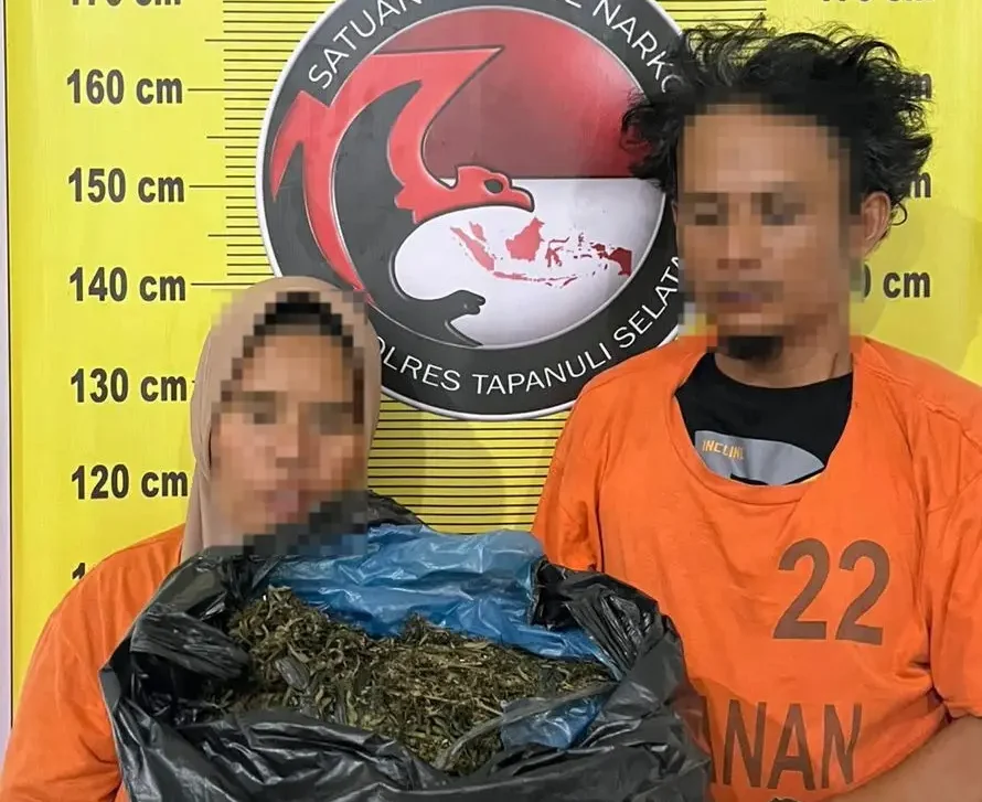 Polres Tapsel Gagalkan Pengiriman 3 Kg Ganja Pakai Becak Motor di Tapanuli Selatan
