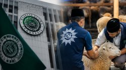 perbedaan dam haji MUI Muhammadiyah