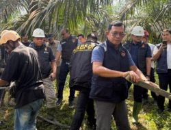 Bareskrim Turun ke Jambi, Misteri Listrik Padam Berjam-jam Diselidiki