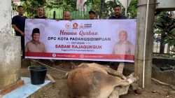 Sabam Rajagukguk Salurkan Sapi Kurban
