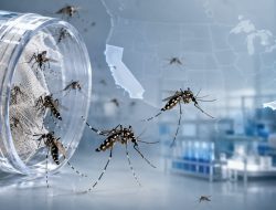 Google Minta Izin Lepas 32 Juta Nyamuk untuk Lawan Virus Berbahaya