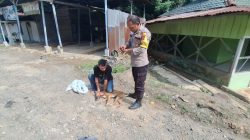 Aksi Berani Polisi Batangtoru, Tergigit Saat Cegah Anjing Liar Serang Warga Lagi