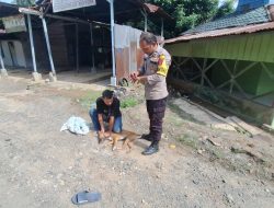 Aksi Berani Polisi Batangtoru, Tergigit Saat Cegah Anjing Liar Serang Warga Lagi