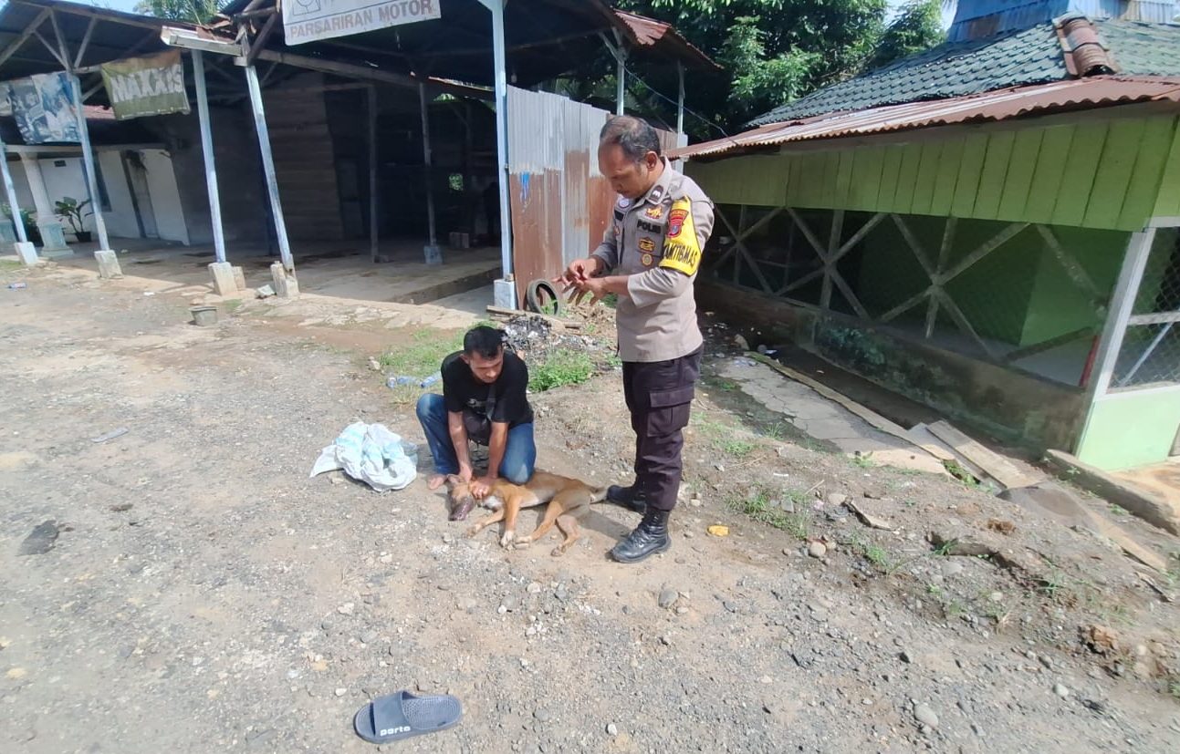 Polisi Batangtoru Tergigit Anjing Liar