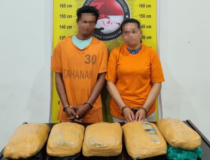 Satresnarkoba Polres Tapsel amankan 5 kilogram ganja
