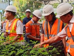 Catat! Tambang Martabe Batang Toru  Reklamasi Lahan 53,92 Hektar
