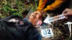 Ribut Soal Warisan, Petani di Tapsel Tewas Dianiaya Adik Kandung
