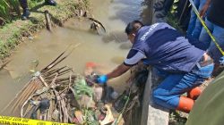 Petani meninggal di Tapanuli Selatan