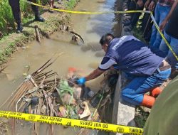 Sempat Muntah Dua Kali, Petani di Tapsel Ditemukan Meninggal di Saluran Sawah