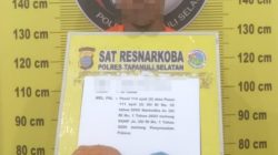 dua bal ganja di Batang Angkola