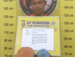 Dua Bal Diduga Ganja Ditemukan di Semak, Satu Pria Diamankan Polres Tapsel