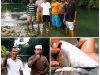 Heboh! Ribuan Ikan Mati Mendadak di Padangsidimpuan