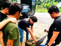 Bawa Ganja 15 Kilogram, Warga Madina Ditangkap di Tapsel