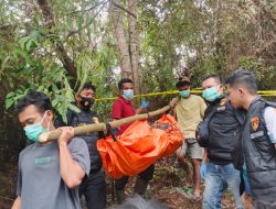 Hilang Hampir Dua Pekan, Pria 27 Tahun Ditemukan Meninggal di Kebun Warga Batang Toru